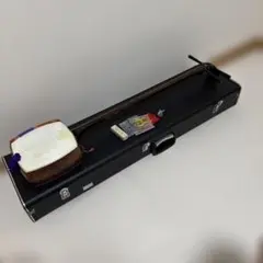 Item thumbnail for item 721f0923-8c79-4b91-a471-c5bea9a86886