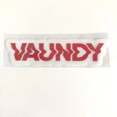 VAUNDY バウンディ グッズ　フェス ステッカー