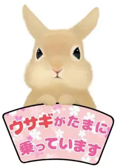 ★ウサギ ステッカー シール☆