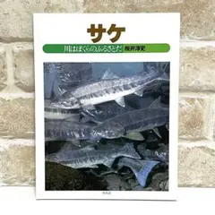 サケ　川はぼくらのふるさとだ　桜井淳史　自由研究