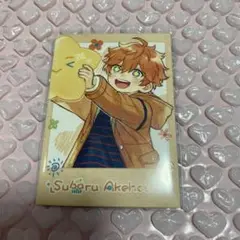 あんスタ 中国　童心珍蔵 ポラロイド 明星スバル