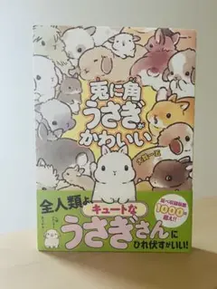 兎に角うさぎがかわいい　大賀一五