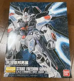 2025年最新】MG ストライクフリーダム 大河原邦男の人気アイテム