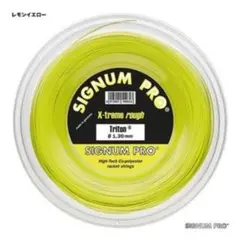 SIGNUM トリトン 1.24mm 12m分