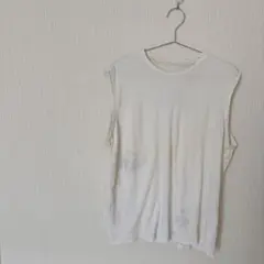 Item thumbnail for item 8445d070-3870-4d6f-ae0c-8d84b38448ee