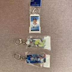 ライオンズ、愛斗、キーホルダー、3点セット