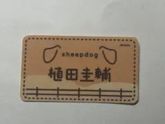 Item thumbnail for item 67e05269-b09a-4e80-900e-1e0e73e66a2b