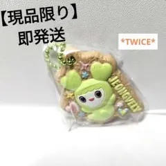 【現品限り】【即発送】TWICE JEONGVELY キーホルダー