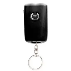 Item thumbnail for item b429e945-142e-48d5-9e6a-f24e7db36aa0