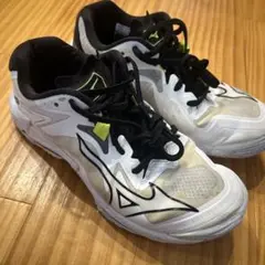 Item thumbnail for item 6a422d3d-9e03-48ad-ab9c-d02d66954b40