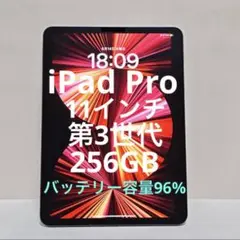 iPad Pro 11インチ 第3世代 256GB アップル
