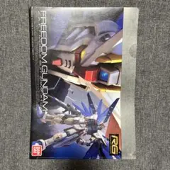 RG フリーダムガンダム クリアファイル