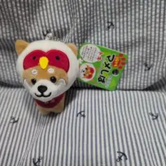 旅するマメしば　トキ