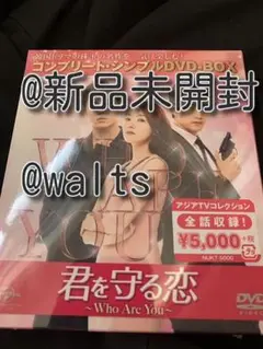 君を守る恋~Who Are You~ DVD-BOX