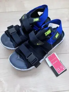 Item thumbnail for item c6b00a6e-35af-4822-a7ab-58cb31f75212