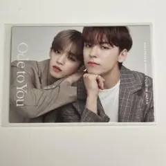 SEVENTEEN エスクプス バーノン Ode to you ペアトレカ