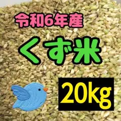 新米（くず米）20kg 鳥のエサ 送料込み 飼料・肥料用米 米とっと 20kg 送料無料 鳥のエサ くず米 北海道