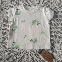 【インセクトコレクション】カマキリ　オフホワイトＴシャツ 85cm