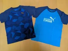 PUMA Tシャツ 青色 2枚セット