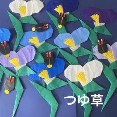 つゆ草