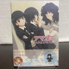 【初版・帯付き・マップ完備】アマガミ オフィシャルコンプリートガイド／公式攻略本
