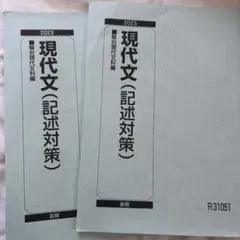 駿台テキスト　現代文記述セット