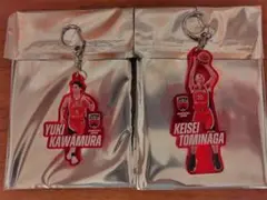 Item thumbnail for item 480ccf59-2e98-4d68-8621-a8cd8f2a83b3