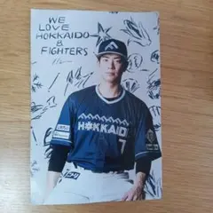 日本ハムファイターズ　WE LOVE HOKKAIDO ポストカード　松本剛