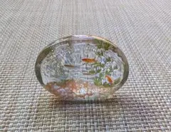 めだかのインテリア オブジェ