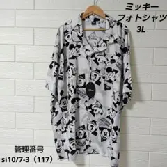 Item thumbnail for item 0a33fcde-a7cd-4078-9ef6-9fd90ea3d213