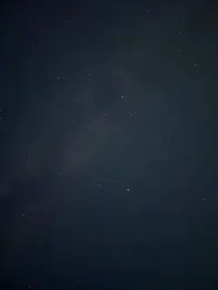 専用