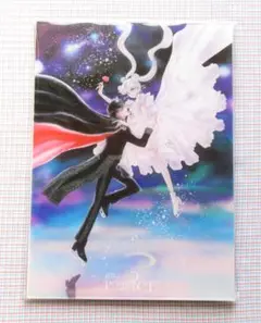 セーラームーン　アイスショー　アクリルパネル　クリアファイル 新しい到着 Amazon.co.jp: セーラームーンアイスショー 描き
