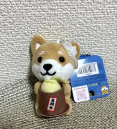 旅するマメしば　長岡　NEW 花火大会バージョン　新潟限定　花火