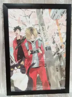 ハイキュー 黒尾鉄朗 孤爪研磨 猫 音駒 A4 額付 古舘春一 週刊少年ジャンプ