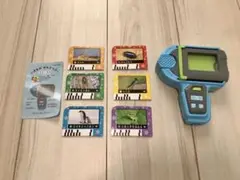 いきものかんさつゴー