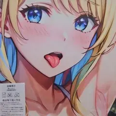 軽井沢_BIGキャラタオル【シークレット】