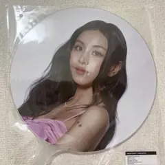 TWICE チェヨン うちわ 仁川コン THIS IS FOR