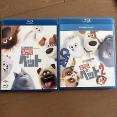 Item thumbnail for item eab6a792-efa8-4f79-9faa-40667f73255e