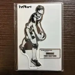 ハイキュー　影山飛雄　仙台観光特使就任記念　アクリルスタンド