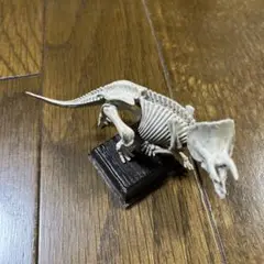 ネイチャーテクニカラー古生物 トリケラトプス