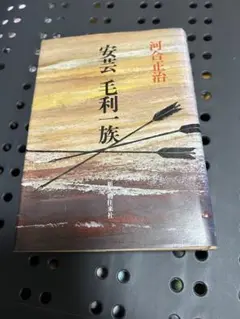 安芸毛利一族　　河合政治