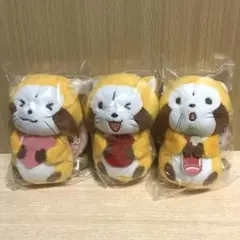 あらいぐま ラスカル　抱きつき マスコット　3体セット　新品