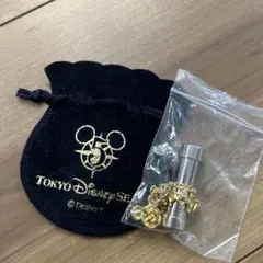 東京ディズニーシー　５周年　万華鏡　　グッズ　アニバーサリー