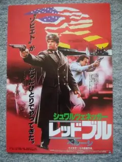 レッドブル　シュワルツェネッガー　チラシ復刻版　B５サイズ　スクリーン付録