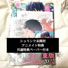 召使い令嬢は国境を越え、敵国の公爵騎士様に溺愛される　2巻　アニメイト特典付き
