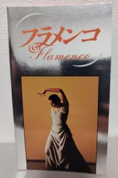 フラメンコ　ドキュメンタリー映画　パンフレット　カルロス・サウラ監督作