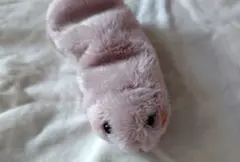 ちんのぬいぐるみ 15 (パープル)