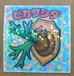 M　まとめて発送可能　ビカクシダ　蝙蝠蘭　コウモリ