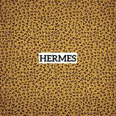 Item thumbnail for item 058d1338-5f20-4f87-a3ac-2ff1a026784d