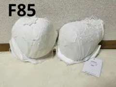 Item thumbnail for item dcf40d84-749a-43a9-8533-934337d6f2f5